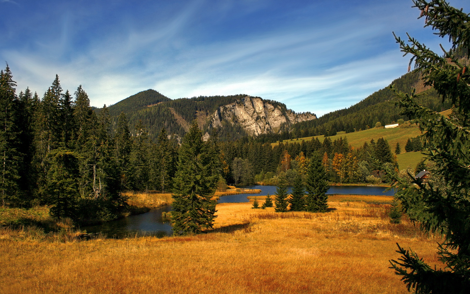 加拿大男子接力队配合日益默契，加拿大400米接力