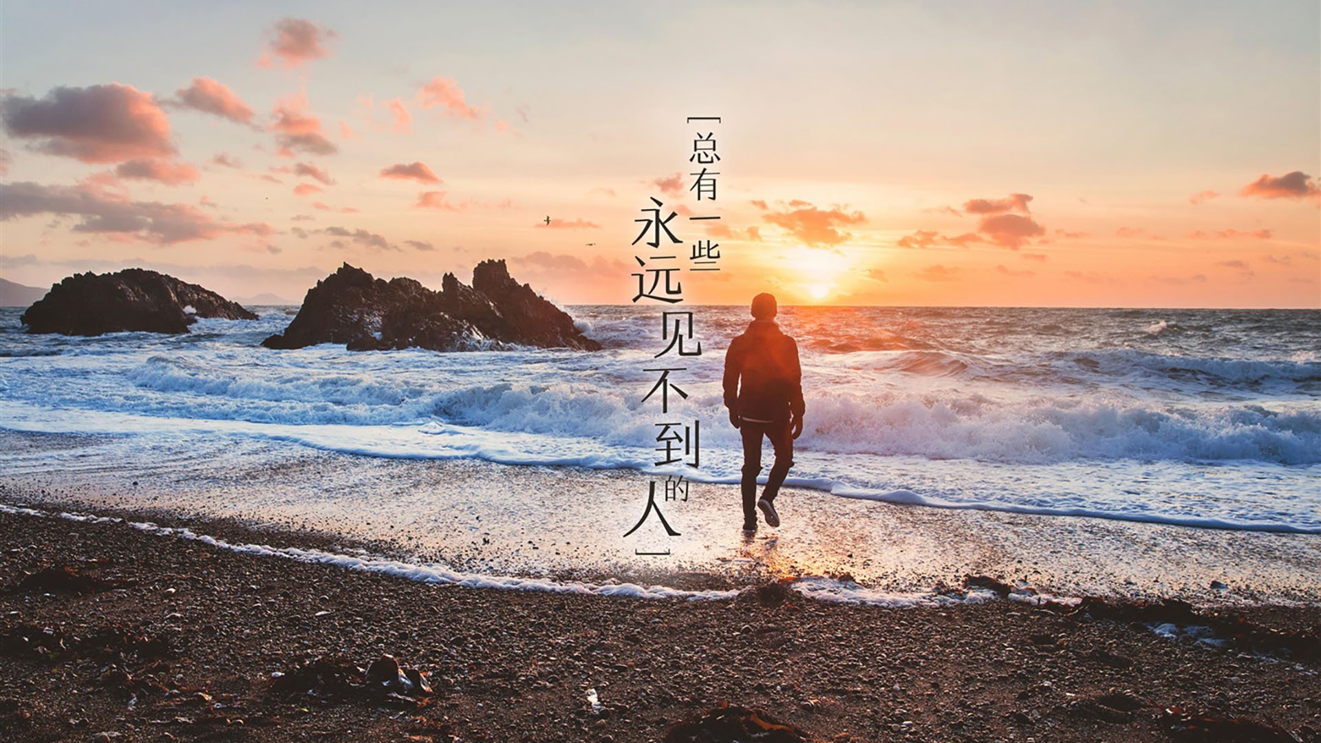 替补球员发挥出色,展现深厚实力,替补球员从哪上场