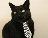 职业球员技术与转型路径未形成梯队标准，职业球员的素养