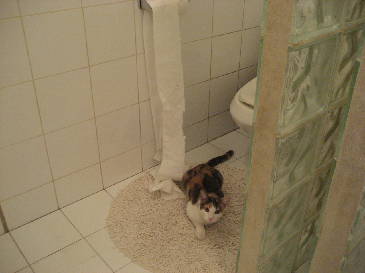 乐鱼体育app官网下载-CBA赛事转播收视创新高 关注度持续上升，cba新赛季转播平台