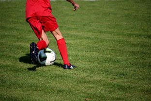 乐鱼体育登录入口-体育新闻中心发布体育短视频内容运营新策略，体育短视频存在的问题