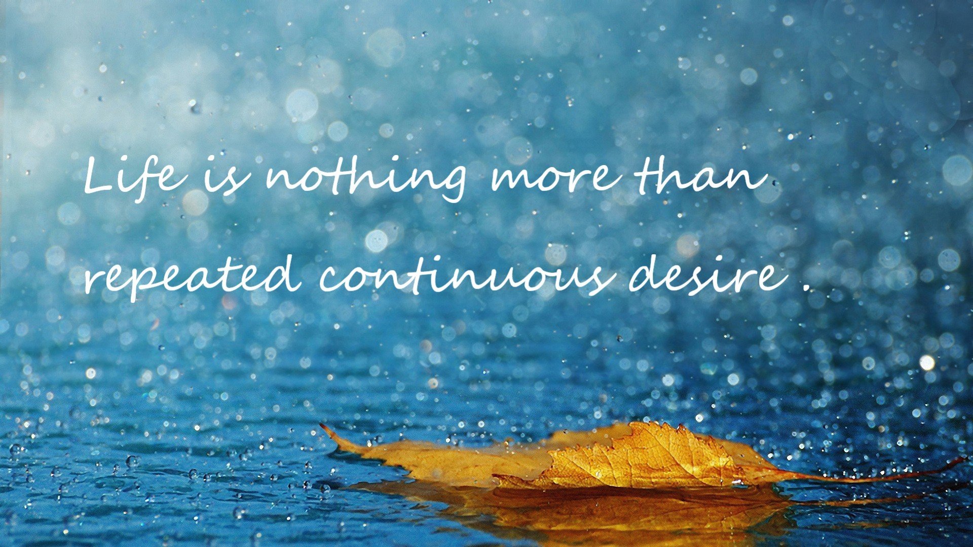 国家男篮关注防守转换加快反击速度，中国男篮防守好的球员