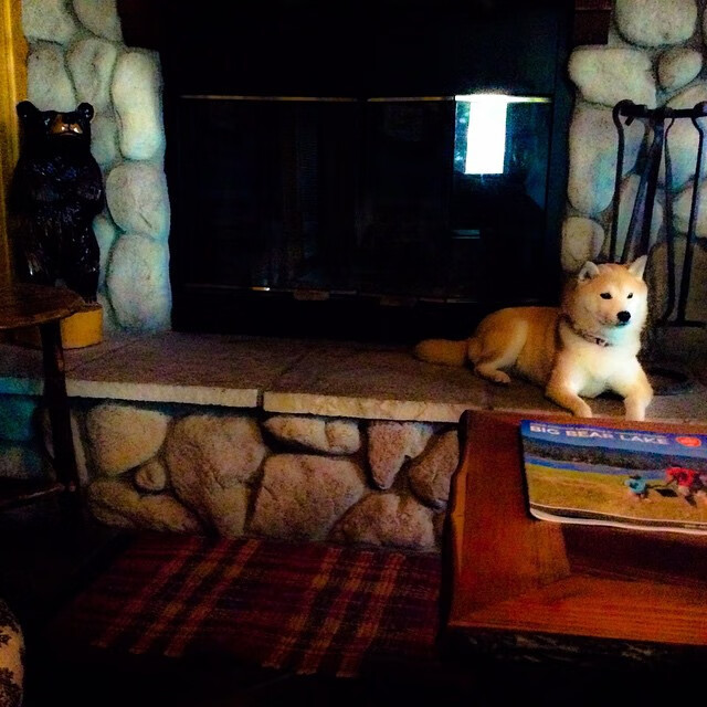 乐鱼体育app官网-“安赫尔·巴尔博萨的全面进攻能力，成为美洲狮队迈向世界顶级的关键”